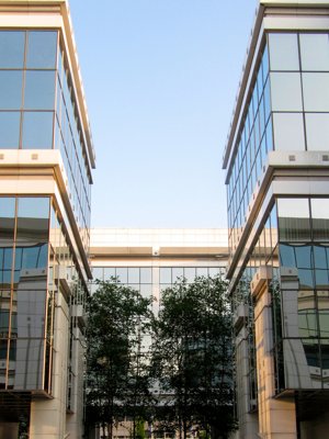 Deux parmis d'autres_4648766527_l.jpg